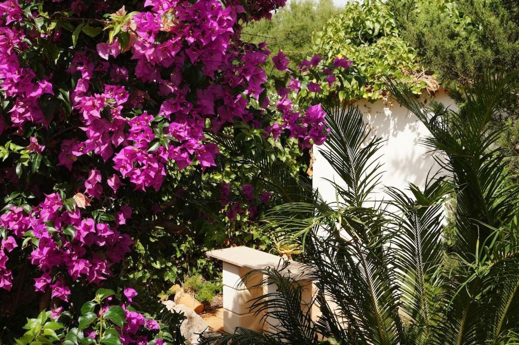 Villa Cala Mendia Cala Mandia  Екстер'єр фото