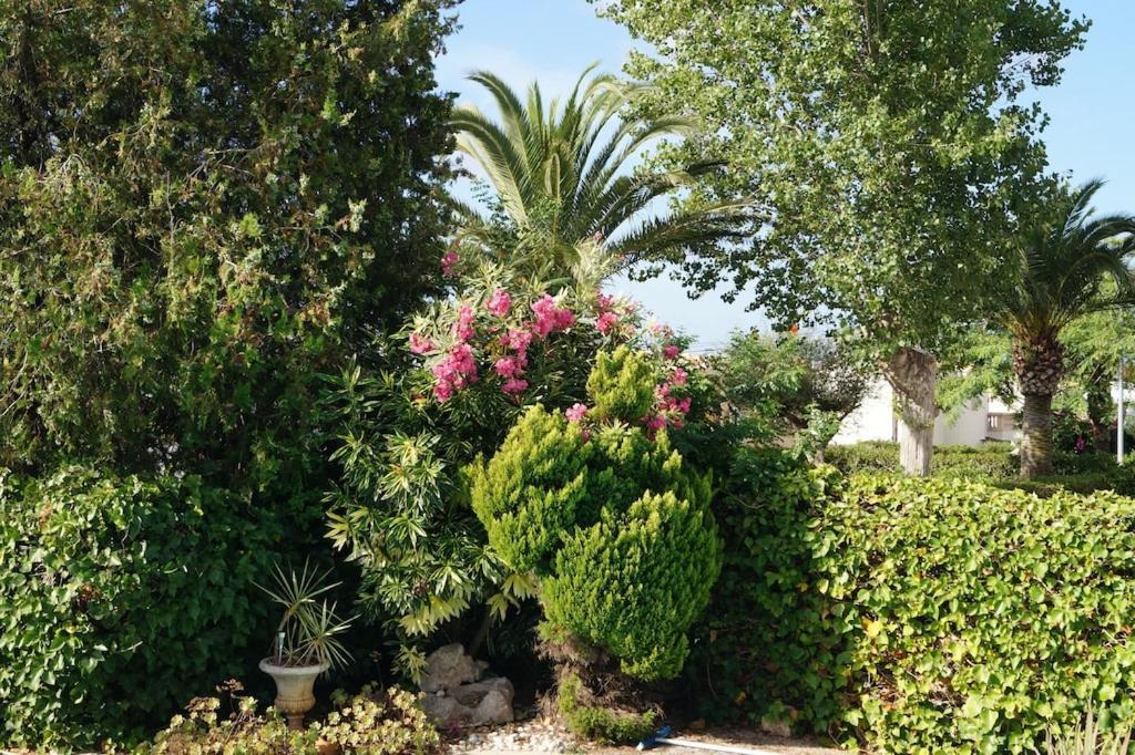 Villa Cala Mendia Cala Mandia  Екстер'єр фото
